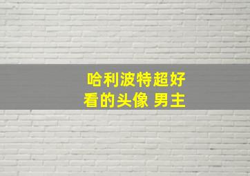 哈利波特超好看的头像 男主